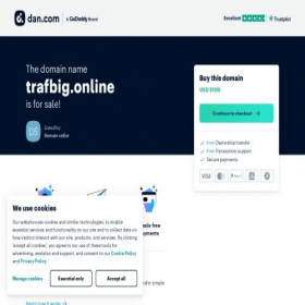 Скриншот главной страницы сайта trafbig.online