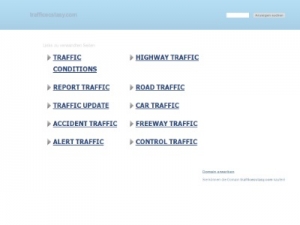 Скриншот главной страницы сайта trafficecstasy.com