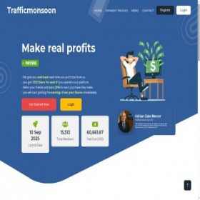 Скриншот главной страницы сайта trafficmonsoon.org