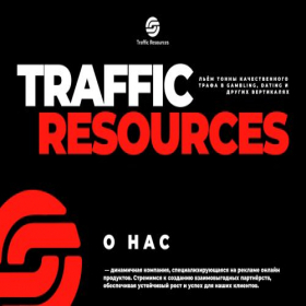 Скриншот главной страницы сайта trafficresourses.ru