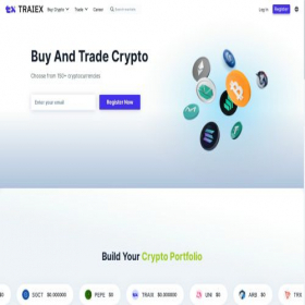 Скриншот главной страницы сайта traiex.com