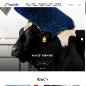 Скриншот главной страницы сайта transfaire.ru