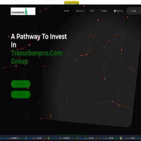 Скриншот главной страницы сайта trasurbanpro.com