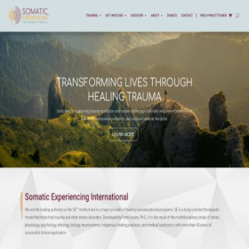 Скриншот главной страницы сайта traumahealing.org