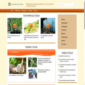 Скриншот главной страницы сайта travelerscoffee.ru