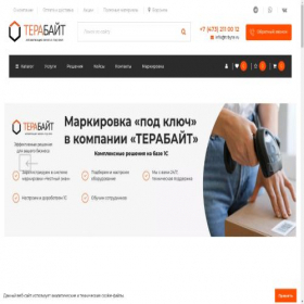 Скриншот главной страницы сайта trbyte.ru
