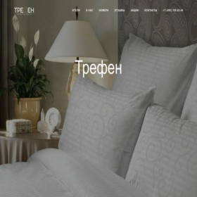 Скриншот главной страницы сайта trefenhotel.ru