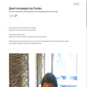 Скриншот главной страницы сайта trendex.co