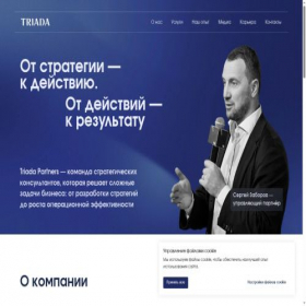 Скриншот главной страницы сайта triada.partners