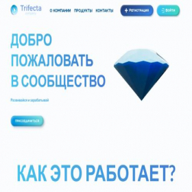 Скриншот главной страницы сайта trifecta.by