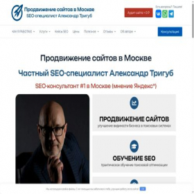 Скриншот главной страницы сайта trigub.ru