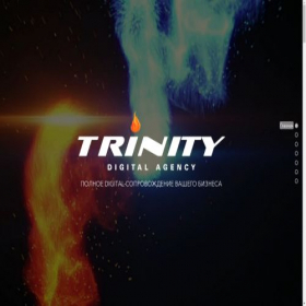 Скриншот главной страницы сайта trinity-adv.ru