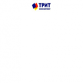 Скриншот главной страницы сайта trit-consulting.ru