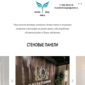 Скриншот главной страницы сайта triumph.business