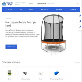 Скриншот главной страницы сайта triumphnord24.ru