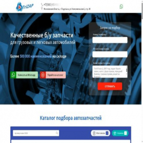 Скриншот главной страницы сайта trizap.ru