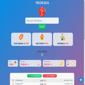 Скриншот главной страницы сайта tronbig.pro