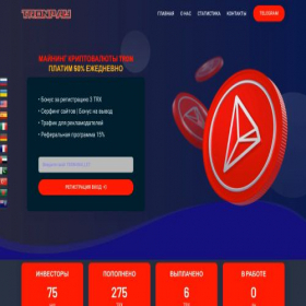 Скриншот главной страницы сайта tronpay.site