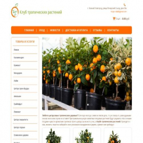 Скриншот главной страницы сайта tropikclub.store