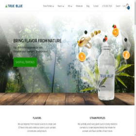 Скриншот главной страницы сайта true-blue.co
