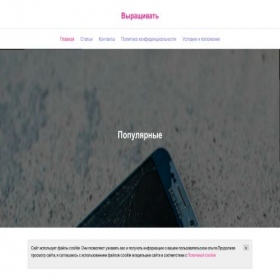 Скриншот главной страницы сайта true-links-org.ru