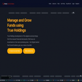 Скриншот главной страницы сайта trueholdingsltd.com