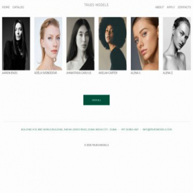 Скриншот главной страницы сайта truesmodels.com