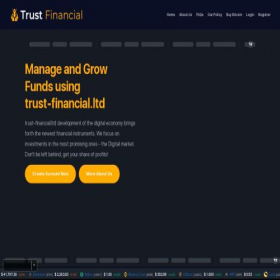 Скриншот главной страницы сайта trust-financial.ltd