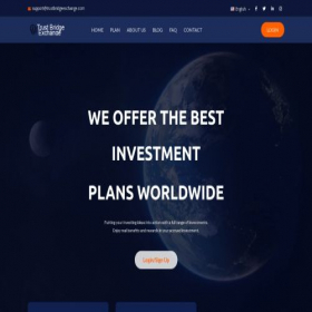 Скриншот главной страницы сайта trustbridgeexchange.com