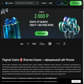 Скриншот главной страницы сайта trustereo.ru