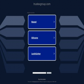 Скриншот главной страницы сайта trustexgroup.com