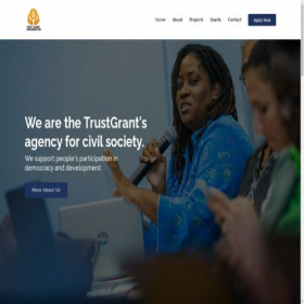Скриншот главной страницы сайта trustgrantorganization.org