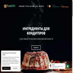 Скриншот главной страницы сайта trusting.ru