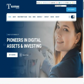 Скриншот главной страницы сайта trustrise-ltd.com