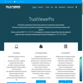 Скриншот главной страницы сайта trustservice.tech