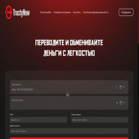 Скриншот главной страницы сайта trustynow.com
