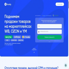 Скриншот главной страницы сайта trustyone.ru