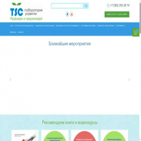 Скриншот главной страницы сайта ts-consulting.ru