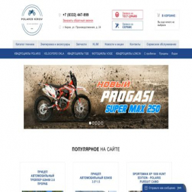 Скриншот главной страницы сайта tsa-polaris.ru
