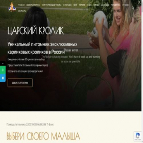 Скриншот главной страницы сайта tsarskiykrolik.com