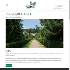 Скриншот главной страницы сайта tsg-novoarh.ru