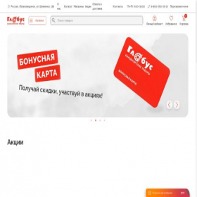 Скриншот главной страницы сайта tsglobus.ru