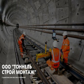 Скриншот главной страницы сайта tsm77.ru