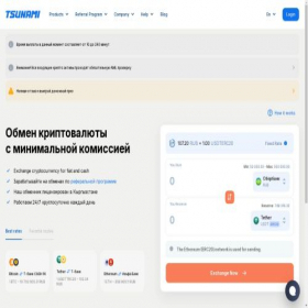 Скриншот главной страницы сайта tsunami.cash