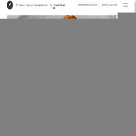 Скриншот главной страницы сайта tsuru-perm.ru