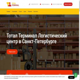 Скриншот главной страницы сайта tt-terminal.ru