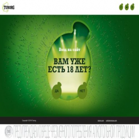 Скриншот главной страницы сайта tuborg.ru
