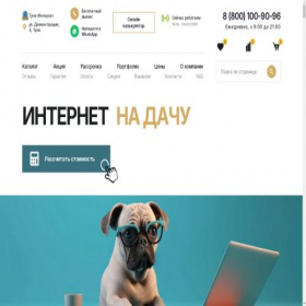 Скриншот главной страницы сайта tula-internet.ru