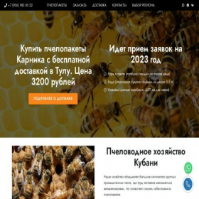 Скриншот главной страницы сайта tula.pchelukubani.ru