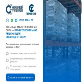 Скриншот главной страницы сайта tulasalt.ru